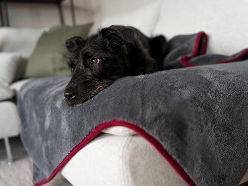 TrendPet Ruby Kuscheldecke und Trocknungsdecke für Hunde und Katzen (90x65cm)