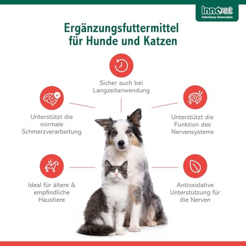 Innovet Alevica PEA-q für Hunde und Katzen, 40 Tabletten für das Gleichgewicht des Nervensystems, PEA Hund Kautabletten, PEA Kapseln, Unterstützt neurologische Funktion, Komfort und Wohlbefinden