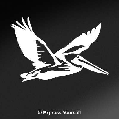 Express YourselfProducts Flying Pelican (White - Reverse Image - Medium) Decal Sticker - Waterfowl Collection