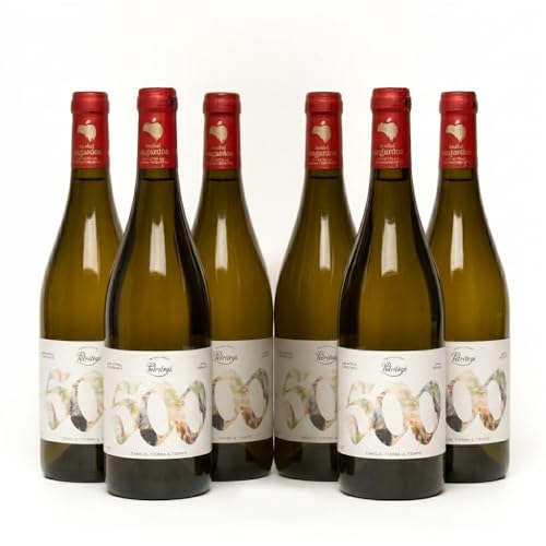 Sidra Natural Petritegi Edición Especial 500 Años D.O. País Vasco 75 cl – Sidra Vasca Tradicional Sin Gluten 6% Vol Botella Premium Euskal Sagardoa (Pack 6)