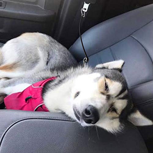 YuCool Auto-Sicherheitsgurt für Hunde, kaufest, Stahlseil, für große und große Hunde, 2 Stück