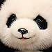 Imagen de Oso Panda De Peluche,Animal De Peluche Panda