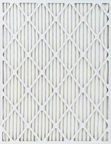 Accumulairยฎ Platinum 14x22x1 (Actual Size) MERV 11 Air Filter/Furnace Filters (6 pack)