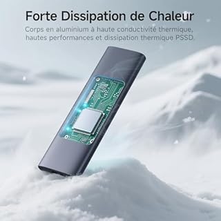 fanxiang SSD Externe 1To, Jusqu'à 1 000 Mo/s, SSD Portable Ultra-Fin USB 3.2 Gen2 Type-C，Disque Dur Externe pour Série iPhone 15/16、Desktops、Laptops、Xbox Series X/S、Windows - PS1008