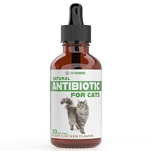 Natural Antibiotics for Cats | Cat Antibiotics for Infection | Cat Antibiotic | Cat Antibiotics | Antibiotic for Cats | Cat Antibiotics for UTI | Cat UTI | Cat UTI Treatment | 1 fl oz (1)