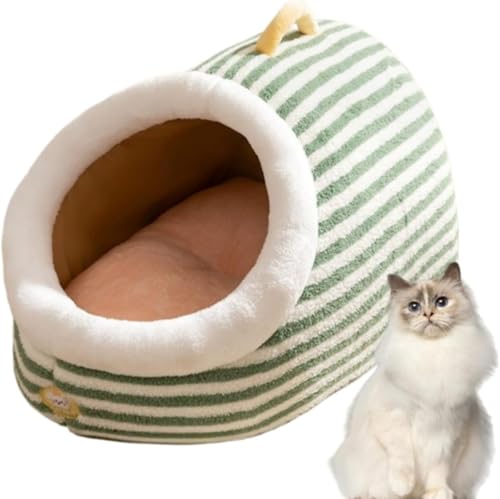 �yFameco�z�h�[���^�y�b�g�n�E�X �y�b�g�x�b�h �� �� ��^���E�L���p �����p �ʔN�Ή� �~�����΍� �ĒʋC �ӂ�ӂ� 4D �����O�x���A �N�b�V�����t�� �􂦂� ������t�� ������� �J�[�L (�O���[��,L)