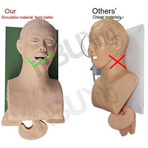 INTBUYING Electron Intubation Adult Manikin 110V-220V Airway Medical Mannequin for Training Teaching Model with Alarm - Thumbnail 6