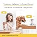Furbo 360° Hundekamera [Basic Kamera]: Haustierkamera mit App, Rotierende 360° Sicht, Farbnachtsicht, Tracking, Leckerliwurf, Bell-Alarm, der Favorit von Haustierbesitzern auf der ganzen Welt