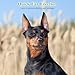 Milisten Dog Ear Stand up Support Kit for and Dobermans, Includes Ear Stand up Tool, 2 Ear Posts, and Tape, Adjustable and Comfortable, Assorted Colors, 5.51 X 3.14 X 2.75 Inches