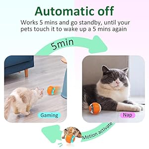   Cat-Ball-Toys-for-Indoor-Cats-Bouncing-Balls-Wicked-Ball-Motion-Cat-Toys