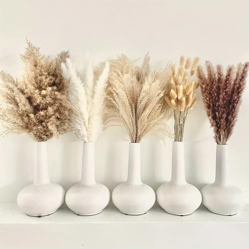 Ramo Natural Seco de Pasto Pampas Boho para Decoración miniatura 2