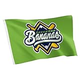 Desert Cactus Savannah Bananas Baseball Flag 100% Polyester Indoor Outdoor 3x5 feet Team Flags (Flag D)