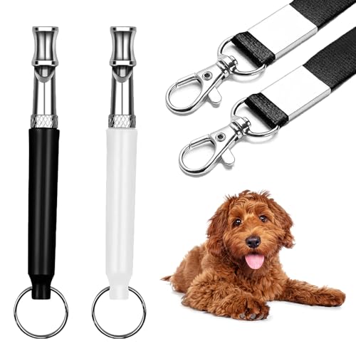 hbOzCbX - g[jOpvtFbViTCghbOzCbXAXgbvtRg[Aאl̖i錢ɍœK