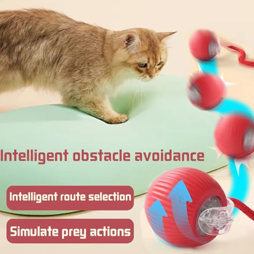YOUYIKE Katzenball Interaktives Elektrisch Automatisch Katzenspielzeug Ball mit Schnur & Falscher Maus Selbstrollender Spielzeug Ball Cat Chase Running Toy für Hund