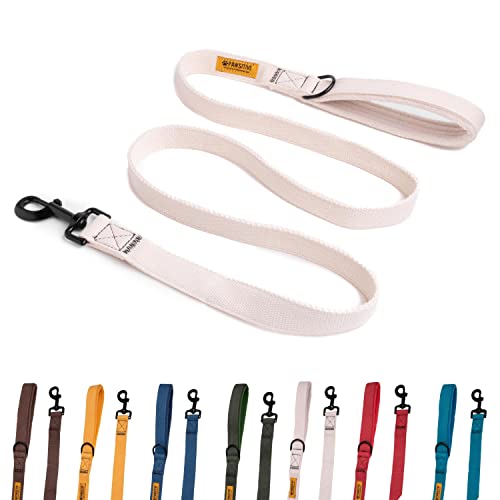 Pawsitive Hemp Leash