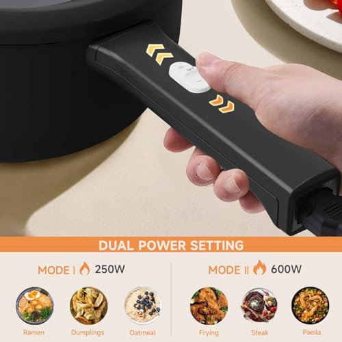 DEZIN Electric Cooker, 2L Non-Stick Sauté Pan, Rapid Noodles Cooker, Mini Pot for Steak, Egg, Fried Rice, Ramen, Oatmeal, Soup with Power Adjustment, College Dorm Room Essential(Egg Rack Included)