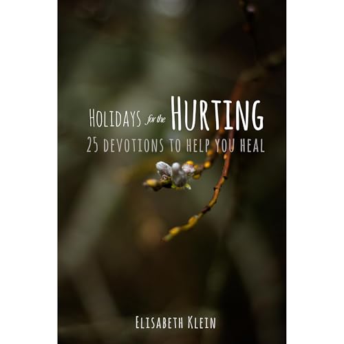 Holidays for the Hurting by Elisabeth Klein episode artwork