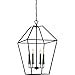 Quoizel AVY5206PN Aviary Lantern Foyer Pendant Lighting, 6-Light, 360 Watts, Palladian Bronze (32" H x 20" W)