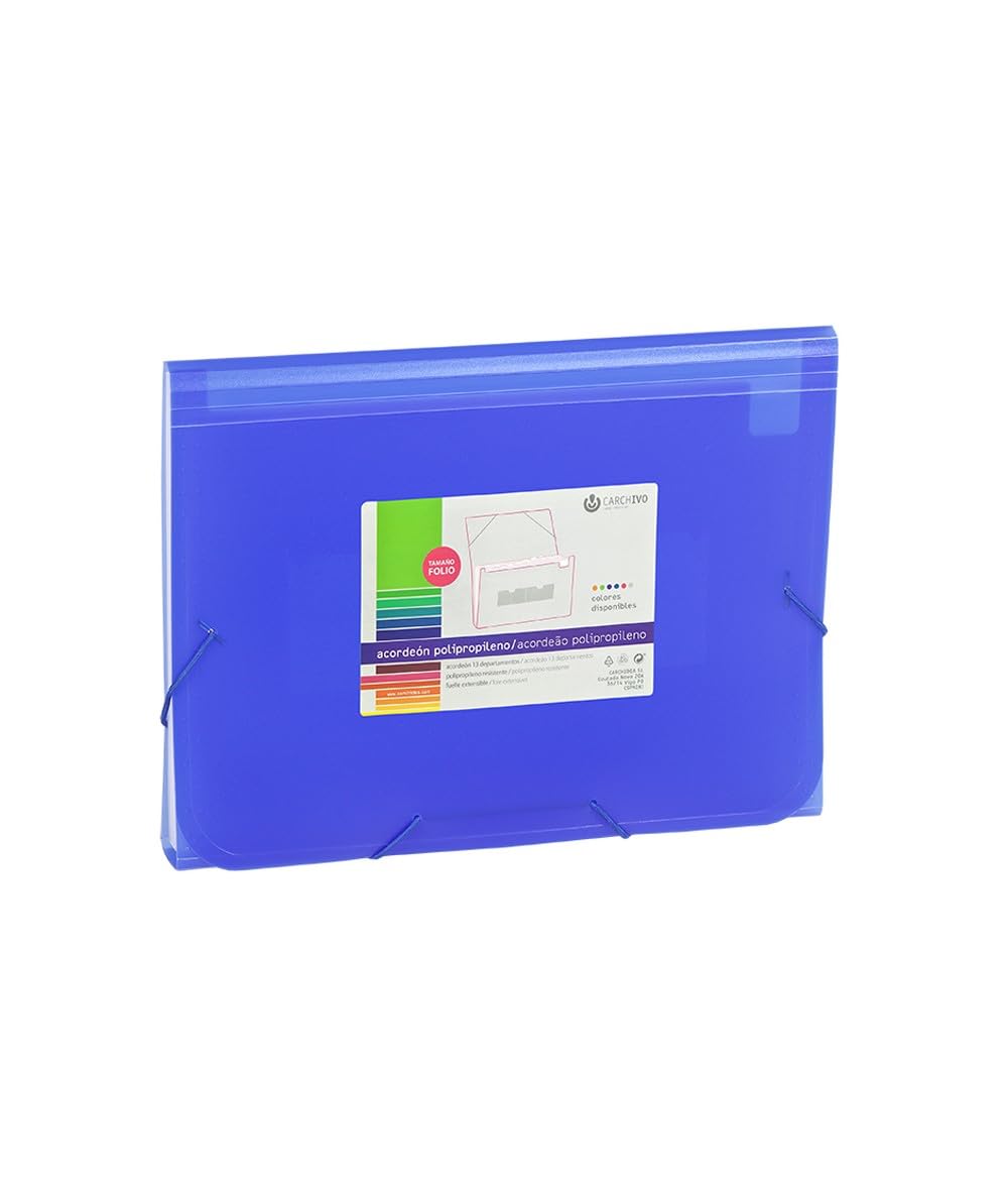 Car Accordion Folder PP Assorted 13DPTOS