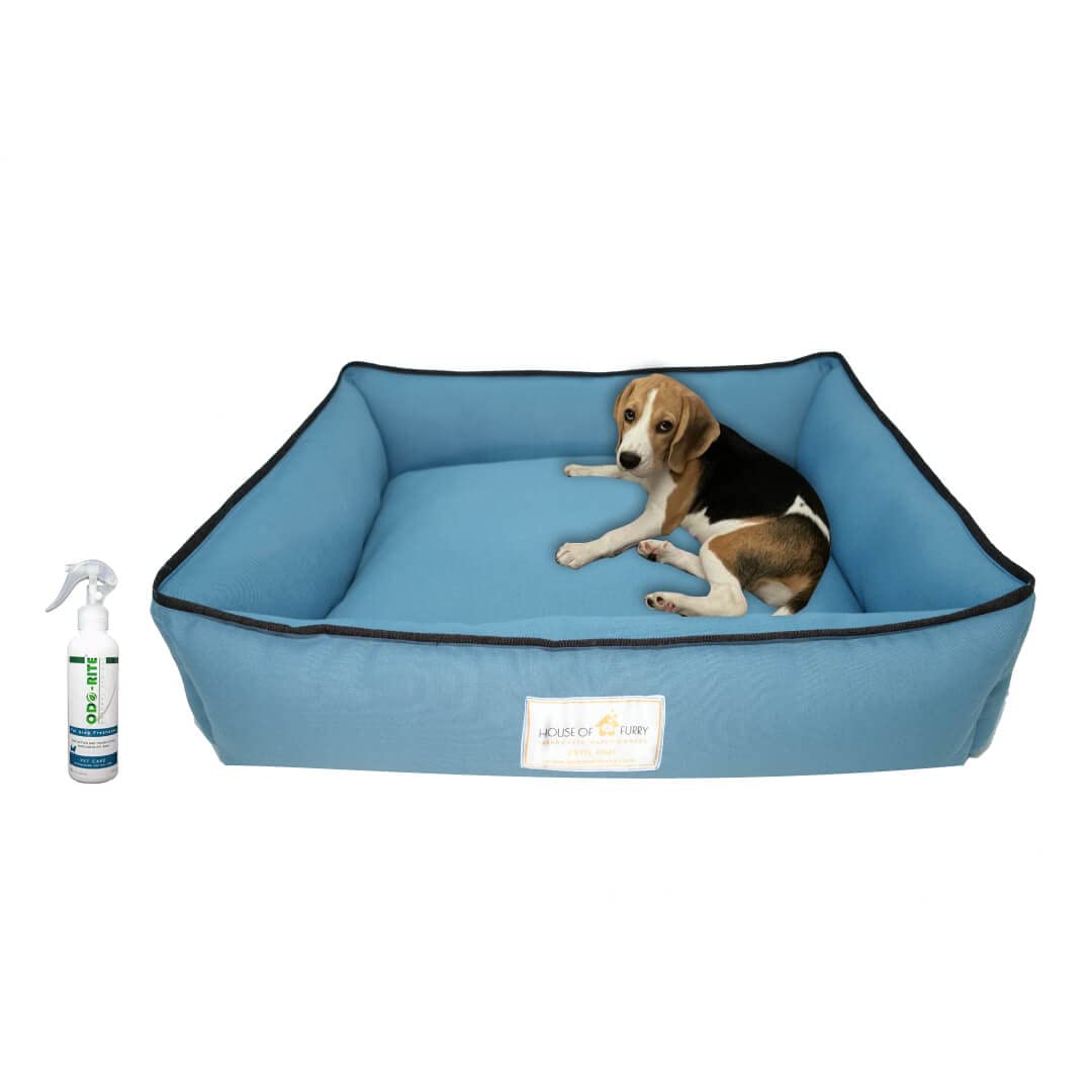 House of Furry 100% Cotton Lounger Dog/cat Bed | Soft Cotton Bolster | All Breeds | Premium Fabric Cooper (L) (B0B97LKQ1V) Amazon Price History, Amazon Price Tracker