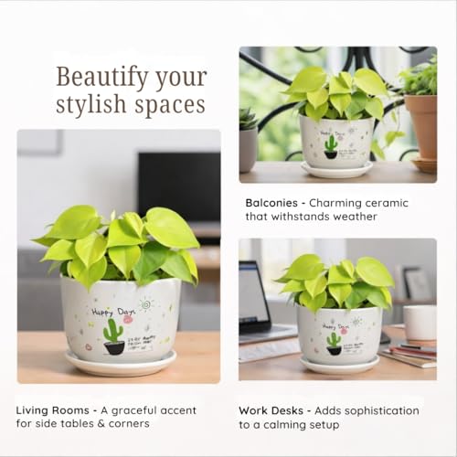 Image of Urban Upvan Happy Days Printed Ceramic Pot with Tray - Premium Decorative Planter for Indoor & Outdoor Plants, Modern Elegant Flower Pot for Home, Garden & Office