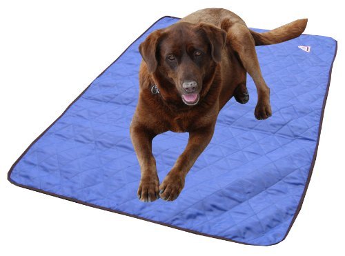 HyperKewl Cooling Dog Pad - LRG-BLUE
