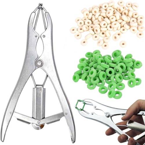 Qtheute(NeEe) MpofBOLbgAofBOXibvNvA150A2TCYOA{Y_pOtc[