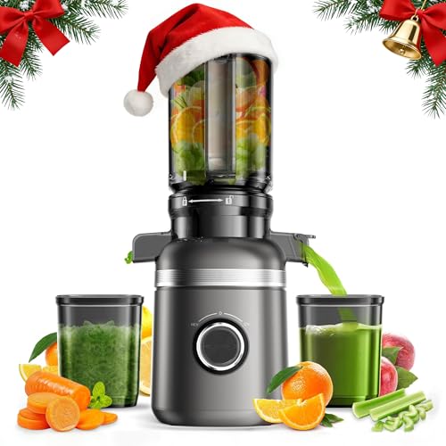 Image of GlowWise Cold Press Juicer Machines for Whole Vegetables & Fruits, Slow Masticating Juicer Maker with Wide Feed Chute, High Juice Yield, Easy to Clean, Gray