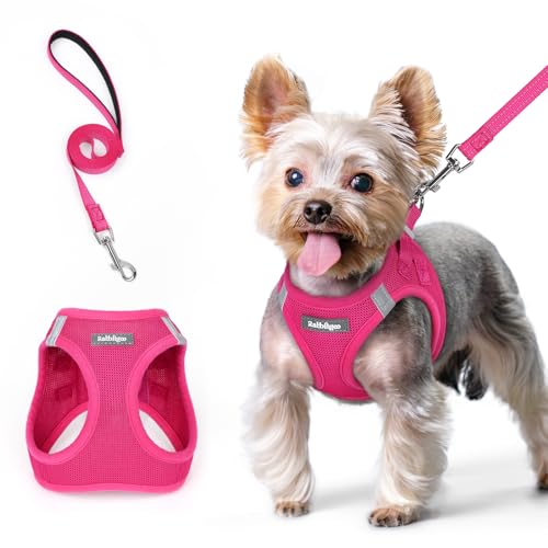 rabbitgoo Pettorina Cane Taglia Piccola con Guinzaglio Riflettente, Imbracatura per Cani Regolabile, Morbida Traspirante, Fcile da Indossare, Pettorina per Cani Piccoli Cuccioli Gatti, Rosa Rossa XS