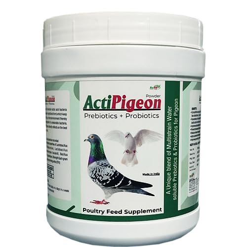 REFIT ANIMAL CARE Prebiotics and Probiotics for Pigeons, 500 gram, ActiPigeons