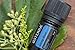 doTERRA Deep Blue Essential Oil Soothing Blend - 5 ml