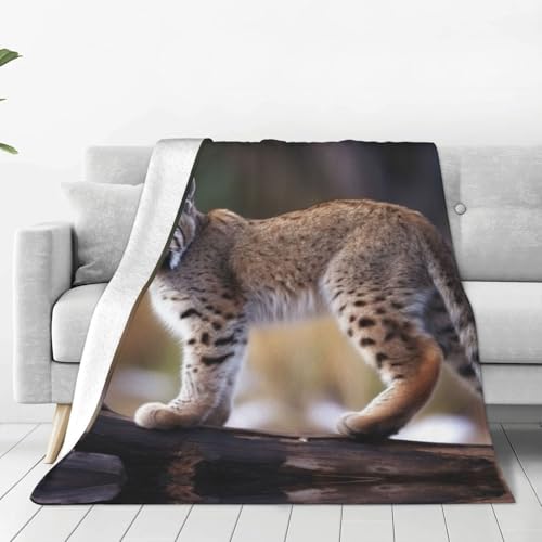 Couverture polaire légère chat sauvage pour canapé et lit - 2