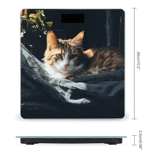 Báscula digital de cuerpo alta precisión Resting Cat miniatura 2