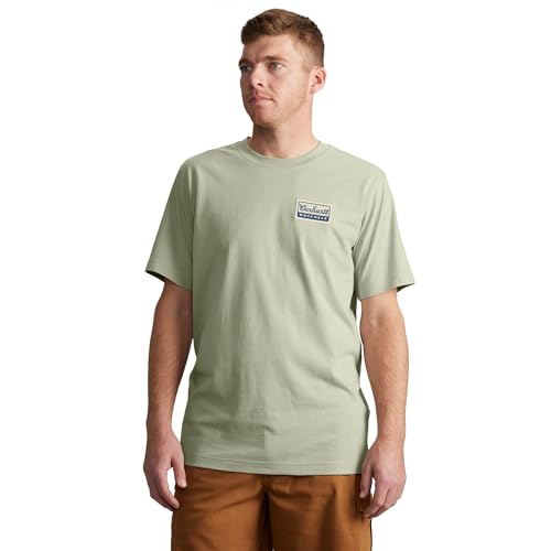 Carhartt Men's Relaxed Fit Lightweight Short-Sleeve Script Patch T-Shirt, Sage, XX-Large/Tall
