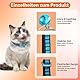 LBJFYHJN Katzenhalsbänder Set - 5 Halsbänder Katzen mit Glöckchen | Anti-Strangulationssicherheit | Leichtes Farbenfrohes Halsband Design