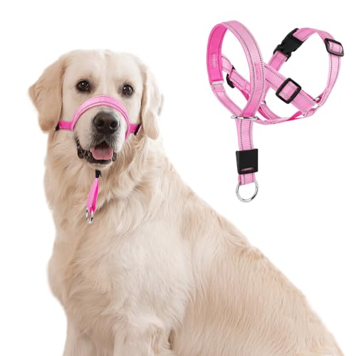 Head Halter for Dogs The 15 best products compared Wild Explained