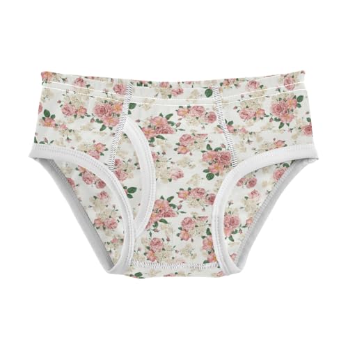 Boys' Exclusive Briefs Toddler Underwear 95% Combed Cotton Boxerbriefs 2T Soft Floral Pattern 12