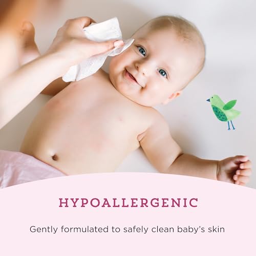 amazon brand - mama bear baby hand amp face wipes unscented 180 count 9 packs of 20