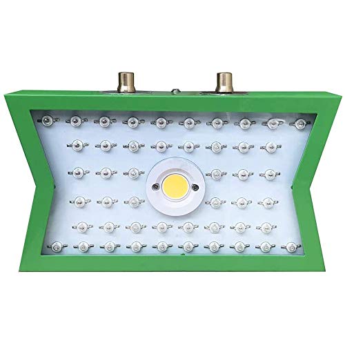 Preisvergleich Produktbild HENGX Pflanzenlampe Zimmerpflanzen / 1200W LED COB Doppelkontroll-Kultivierungslampe / Vollspektrum-Wachstumslampe / Für Gewächshaus-Hydroponik-Gemüse Sukkulenten-Keimlinge
