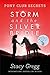 Storm and the Silver Bridle (Pony Club Secrets, Book 6)