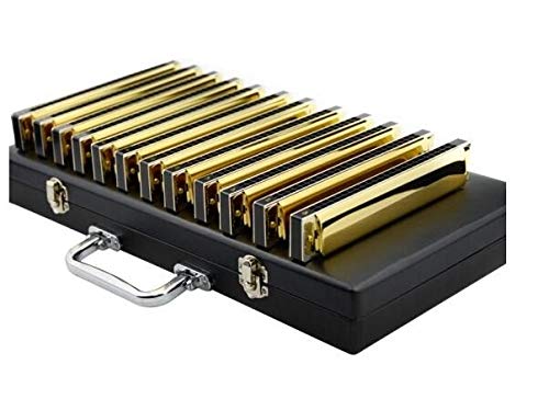 KMDSM 24 trous Tremolo Harmonica professionnel Jouer 7 tons Set, 12 ajusté aplat épaissie Harmonica adulte Instrument… - Les Beatles, Paul McCartney, John Lennon, RIngo Starr, George Harrison KMDSM 24 trous Tremolo Harmonica professionnel Jouer 7 tons Set, 12 ajusté aplat épaissie Harmonica adulte Instrument… – Image 4