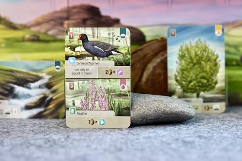 Forest Shuffle Dartmoor Card Game - Build Habitats, Place Trees & Attract Fauna in This Standalone Strategy Game for Kids & Adults, Ages 10+, 2-5 Players, 60 Min Playtime by Asmodee - Image 4