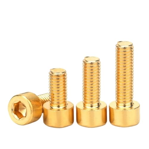 VirtuWard 10/bg M3 M4 M5 M6 M8 ^JZpZpt{g DIN912(55mm x10pcs,M10)