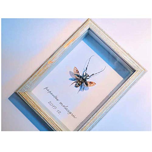 image for MEMOLIN 5x7 Shadow Box 3D Rustic Picture Frames, Deep Wood & HD Glass 