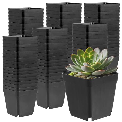 MAHIONG 150PCS 4 Inch Square Nursery Plant Pots, Plastic Plant Seedling Pots with Drainage Holes, Black Plant Seedling Pots for Starting Seedlings or Garden Plant