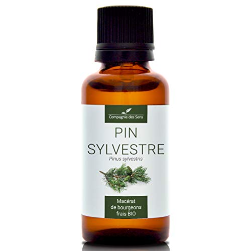 PIN SYLVESTRE - 30mL - Macérat de bourgeons BIO