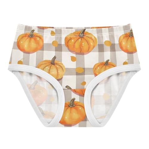Wusikd Pumpkins Girls' Underwear Cotton Colorful Gingham Girls Briefs Soft Toddler Underwear 2T
