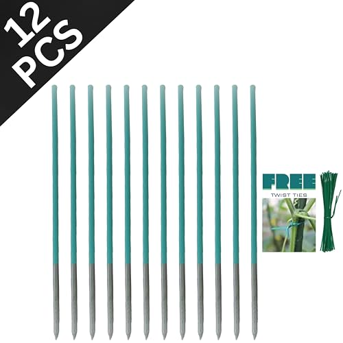 Image of BLOOMAX Hardwood Plant Support Sticks, Lengths-2 ft /14mm, Pack of-12 pcs- with Free Twist Ties