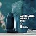 Air Wick Essential Mist, Essential Oils Diffuser, (Diffuser + 1 Refill), Apple Cinnamon Medley, Fall Scent, Fall Spray, Air Freshener, Packaging May Vary