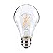 LED Light Bulb S39879, 8 Watt (Replaces 60 Watt), 120 Volt, A19, Medium Screw (E26) Base, 2700K, Warm White, Clear, Dimmable